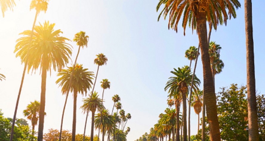 Outlandish California Tour