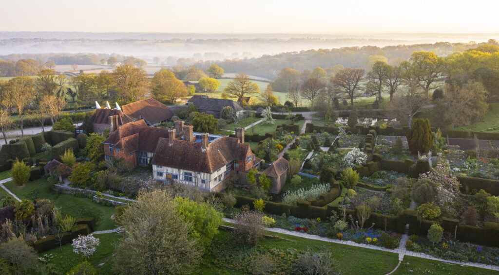 Dixter image by Claire Takacs