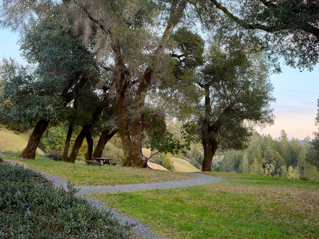 Bohemia, Blasen Landscape Architecture  (Photo Credit: Marion Brenner)