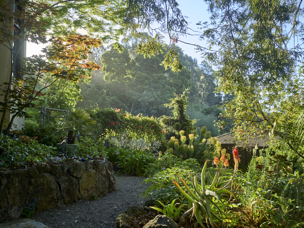 Berkeley (Photo Credit: Marion Brenner)